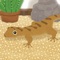 Icon Gecko Pet