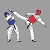 AI Taekwondo Coach