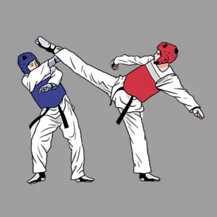AI Taekwondo Coach Cheats