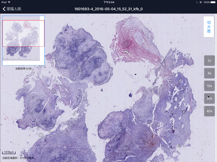 和缓名医（医生版）-D2D医生移动协作平台