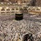 Mecca Holiest City Wallpapers is the Best app for Mecca , Saudi Arabia & Travel Lovers