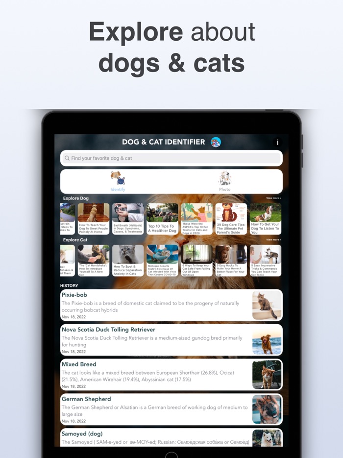 Dog  Cat Identifier - Scanner