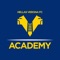 L'app dell'Hellas Verona Academy, pensata per coinvolgere lo staff, i giocatori e le società affiliate nel condividere metodologia e contenuti