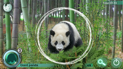 Hidden Objects Games - Animals screenshot 2