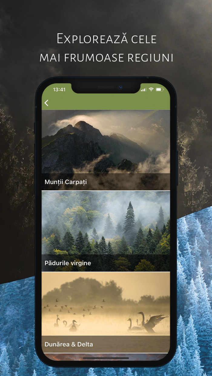 România Sălbatică