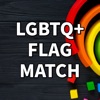 LGBTQ+ Memory Flag Match