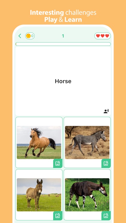 Animals: 4 Pics & Word Quiz screenshot-4