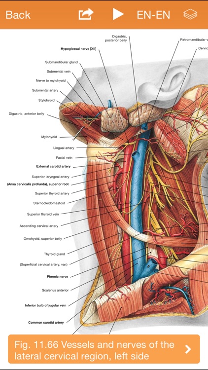 Sobotta Anatomy screenshot-3