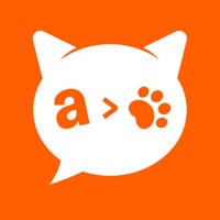 Traducteur Chat & Meowtalk app ne fonctionne pas? problème ou bug?