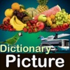 Icon Picture Dictionary - Pro