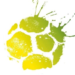 Football Application Fun