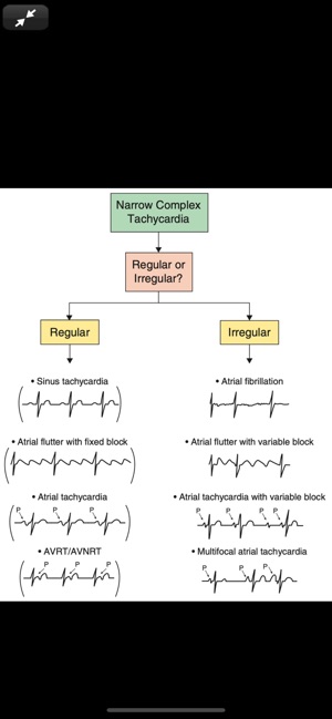 Teaching Rounds: A Visual Aid(圖4)-速報App