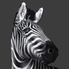 Investec Intermediary App