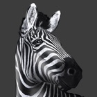 Investec Intermediary App