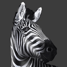 Investec Intermediary App