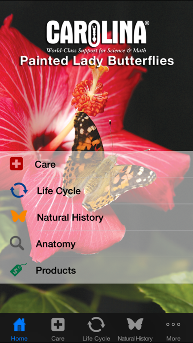 How to cancel & delete Painted Lady Butterflies from iphone & ipad 1