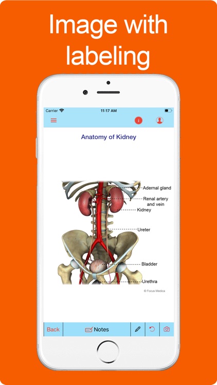 Silodal - Atlas of Nephrology