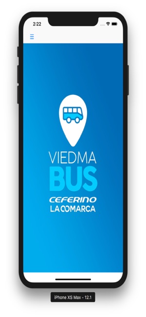 Viedma Bus