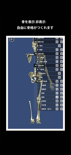 Bone (ボーン)(圖3)-速報App