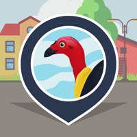 BrushTurkeys | SPOTTERON PC 용