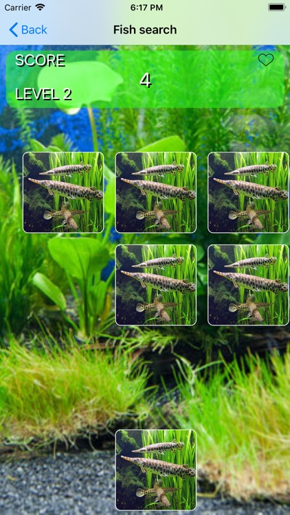 Aquarium Memorize game screenshot-3