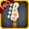 • Learn To Play Your Favorite Bass Lines on the Bass Guitar