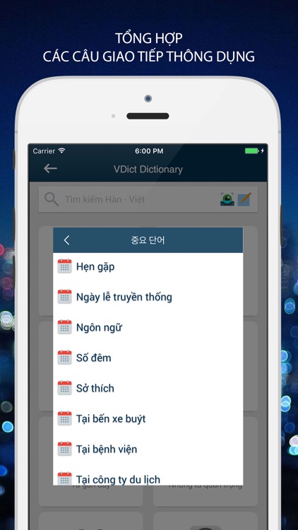 Từ Điển Hàn Việt Pro - VDICT screenshot-3