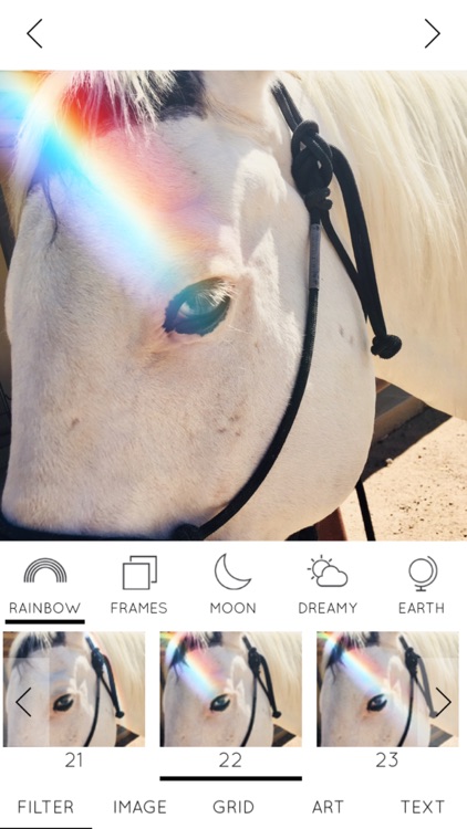 Rainbow Love screenshot-4