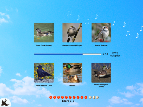 Chirp! Bird Songs Canada screenshot 3