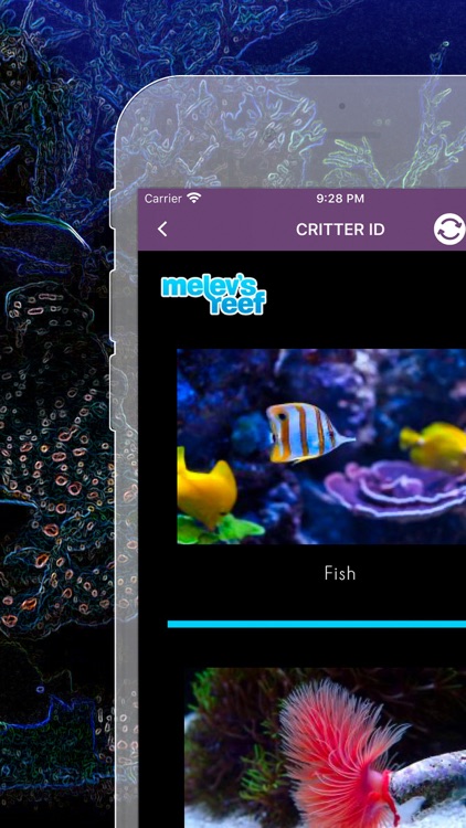 ReefTrace screenshot-3