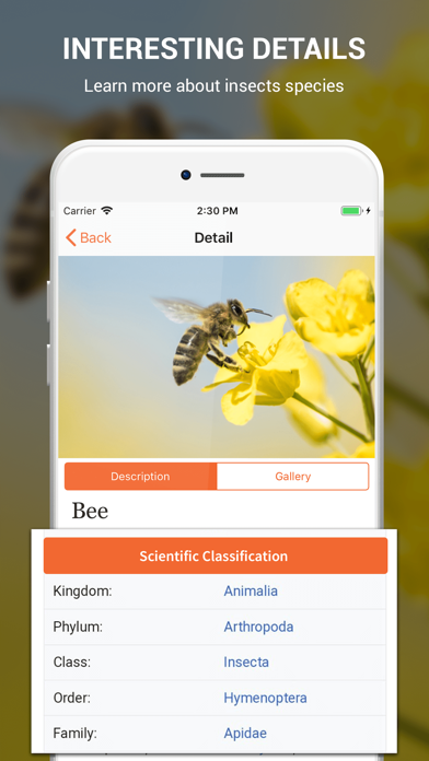 How to cancel & delete Insect identifier by photo from iphone & ipad 2