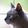 Adorable Cat Puzzles