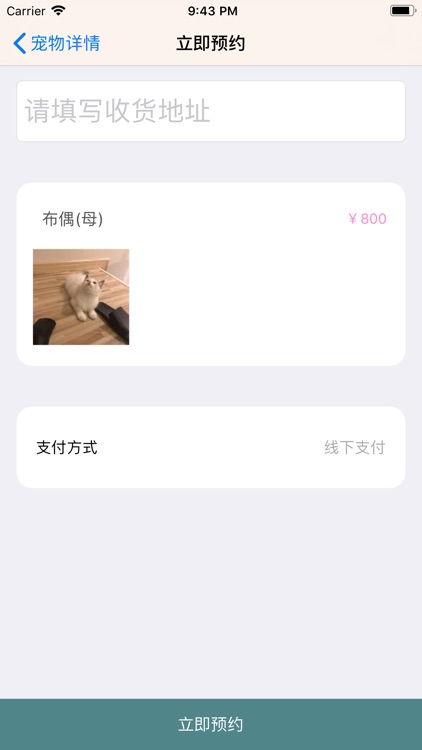 猫咪社