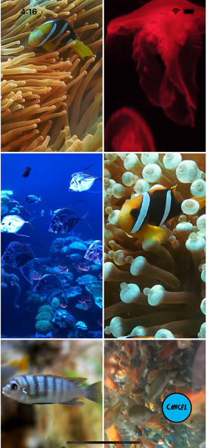 Aquarium Live Wallpapers(圖3)-速報App