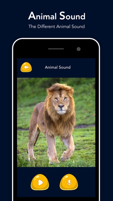 Animal Sound - Zoo Fun screenshot 4