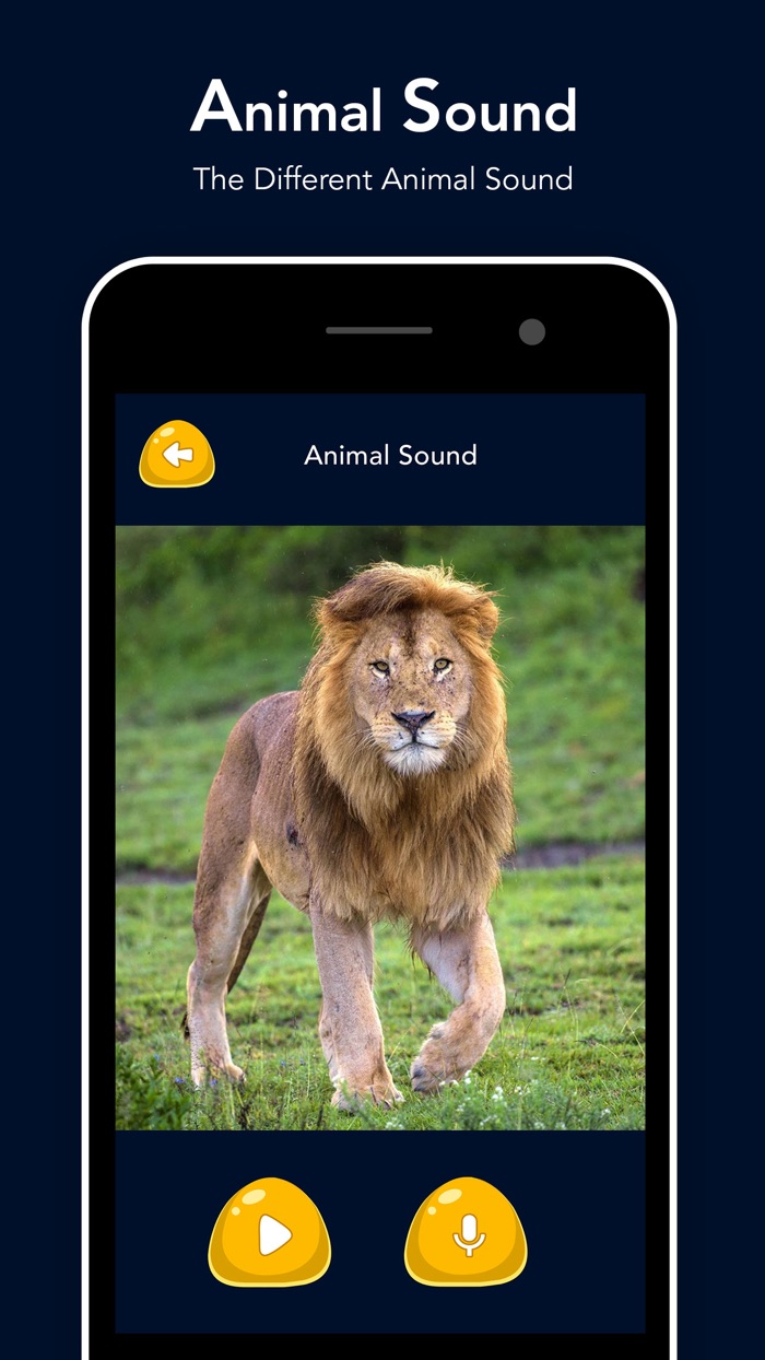 Animal Sound - Zoo Fun