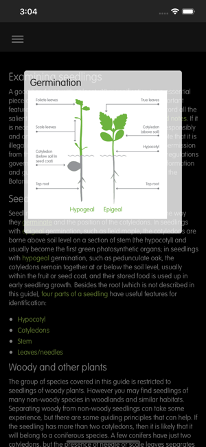 Forest Seedlings(圖3)-速報App