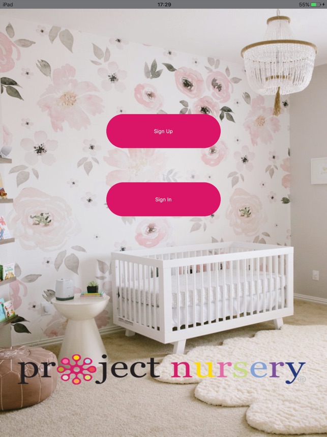 project nursery camera offline