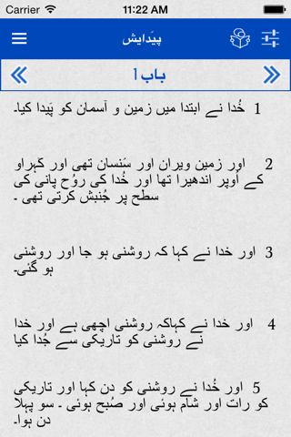 Urdu Bible* - náhled