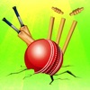 Idle Cricket