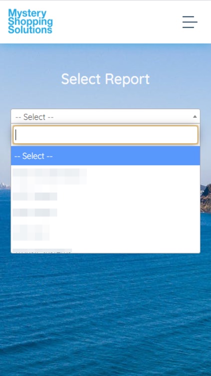 MysteryShoppingSolutions screenshot-3