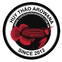 Cá Rồng Huy Thảo pour PC