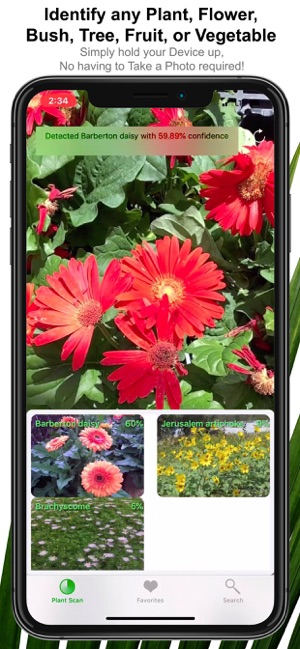 Plant Scan Pro- Identification(圖1)-速報App