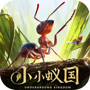 小小蚁国:真实蚂蚁世界