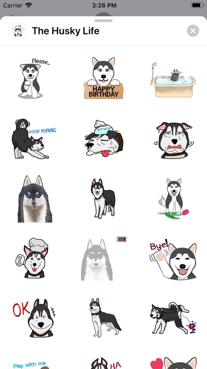 The Husky Life screenshot-3