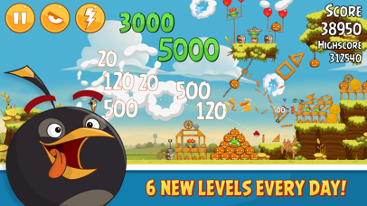Angry Birds Screenshot 5