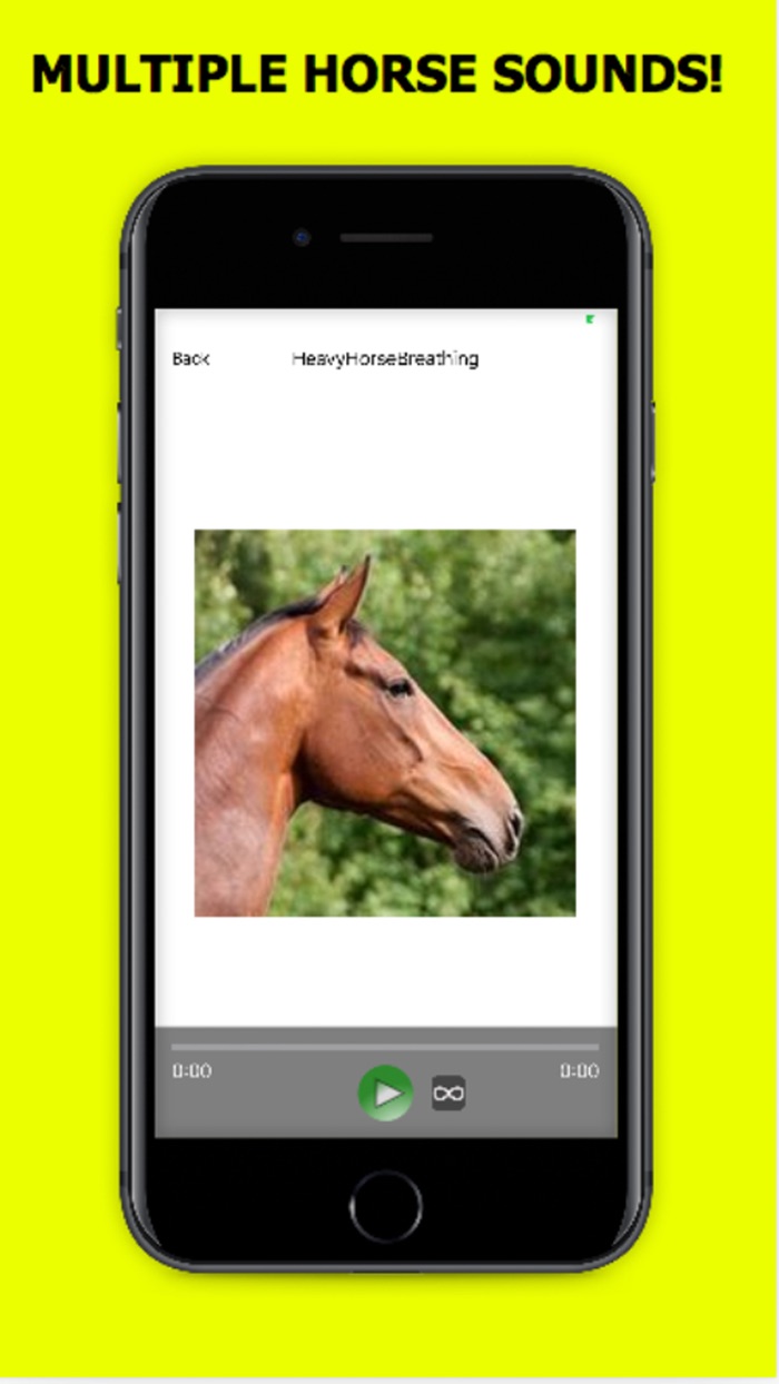 Horse Sounds Horse Soundboard