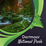 Dartmoor National Park