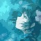 * New mode: - Random Wallpapers