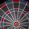 HAWKEYE is a darts game application that aims at screen operation and throws darts in the screen by shaking the main body
